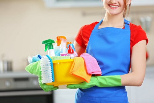 Illustration of essential cookies used on the Haringey Cleaners website