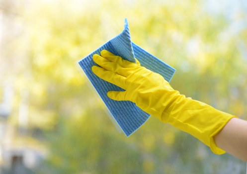 Professional carpet cleaning for a Haringey home with attention to busy family areas