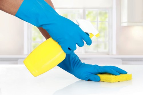 Regular house cleaning in a Haringey flat or family home