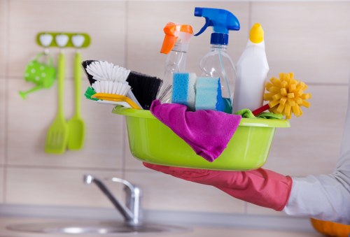 Local pet stain odour removal service for carpets in a Haringey home