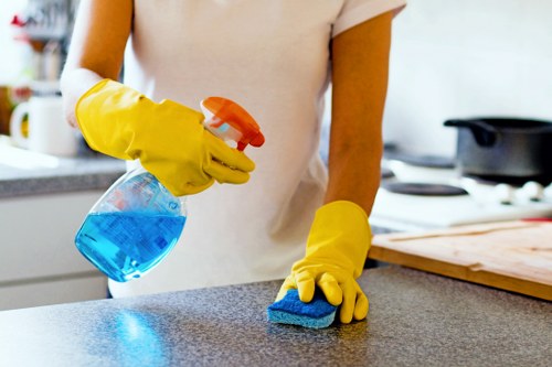 Professional cleaner detailing a kitchen during a move in clean in Haringey