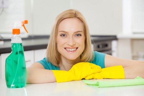 Local upholstery cleaning process for a sofa in Haringey