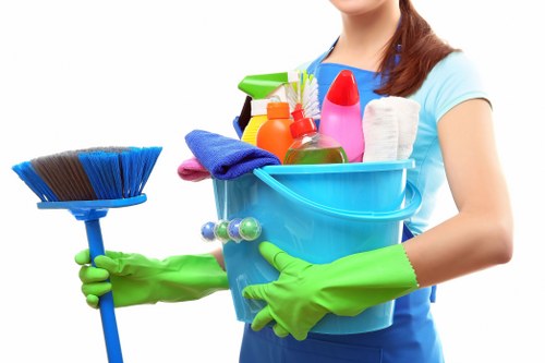 Low-carbon van used for sustainable cleaning routes