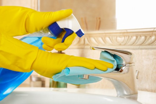 Local cleaner reaching upper windows with specialist equipment