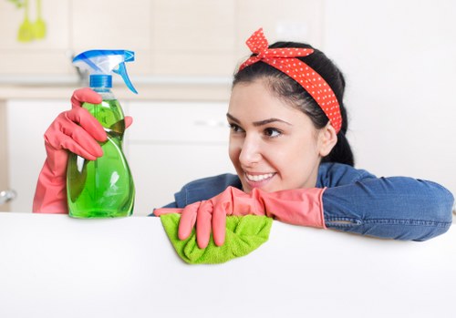 Detailed kitchen appliance cleaning service in Haringey