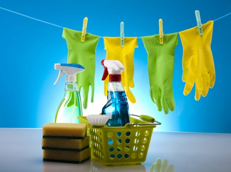 Domestic cleaning visit for a property in Haringey