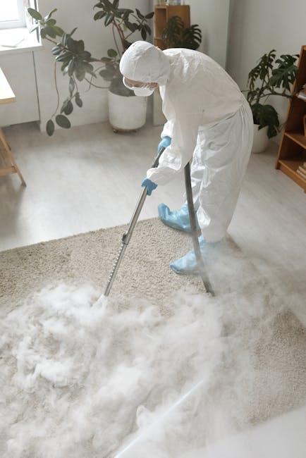 A person dressed in white protective clothing, including a face mask, gloves, and shoe covers, is performing deep cleaning or sanitisation on a light-colored, thick pile carpet in a well-lit living room. The individual is using a professional steam or extraction cleaning tool, with visible steam or cleaning solution on the carpet surface. The room features large potted plants, wooden furniture, and ample natural light from a nearby window, creating a bright and clean environment. The scene emphasizes surface cleaning and hygiene maintenance, aligning with services offered by Haringey Cleaners as highlighted in the page titled 'Crouch End carpet cleaning experts in Haringey N8, HARINGEY'.