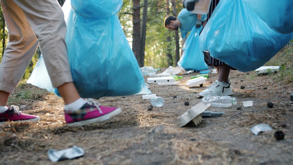 A group of people participating in a community clean-up in a forested area during daylight. They are wearing casual clothing and gloves, and are collecting litter such as plastic bottles, paper, and various trash items. Each person is holding a large blue garbage bag, which is partially visible and appears to be filled with collected waste. The ground is covered with leaves, twigs, and scattered debris, while a few cleaning tools like brushes and small containers are visible on the forest floor. The sunlight filters through trees, illuminating the scene, and the overall environment emphasizes environmental hygiene and waste management. Haringey Cleaners specializes in surface cleaning, deep cleaning, and sanitisation services, supporting community initiatives like environmental clean-ups to promote hygiene and cleanliness.