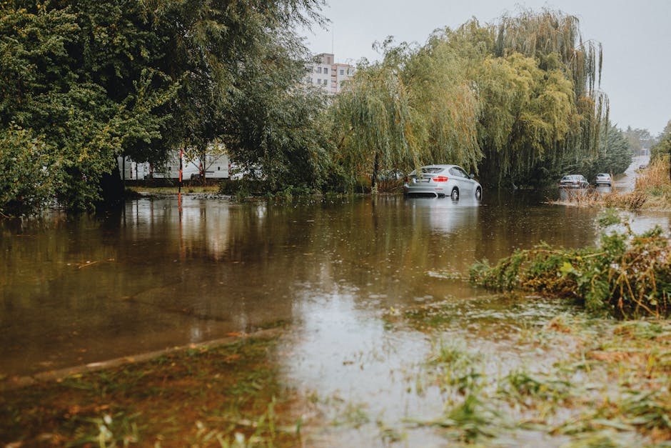 Two workers stand knee-deep in muddy floodwater next to a large orange flood response truck. One worker, wearing a gray shirt and waterproof pants, holds a white cloth or tarp, while the other, dressed in a blue jacket and red cap, bends down retrieving items from the submerged ground. The truck is equipped with hoses, tools, and supplies for flood remediation, positioned on a flooded street with a concrete wall and trees in the background. The scene illustrates active flood cleanup efforts, with dim lighting highlighting the wet surfaces and muddy water. The team from Haringey Cleaners is engaged in surface cleaning and flood damage mitigation, demonstrating emergency response procedures to restore hygiene and safety in affected areas.